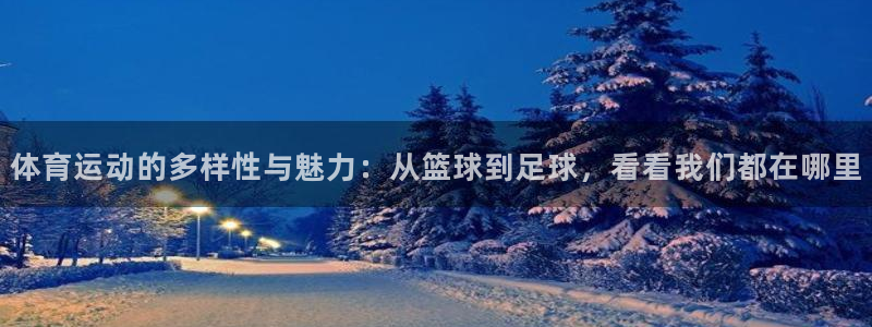 熊猫体育平台