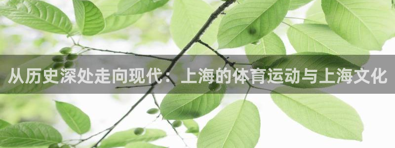 熊猫体育怎么样