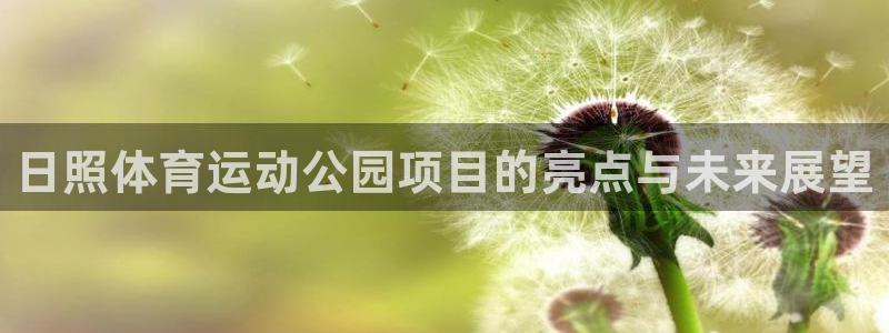 熊猫体育平台官网
