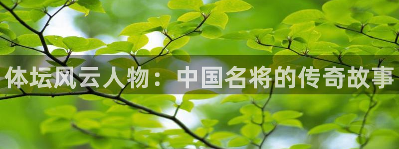 熊猫体育公园