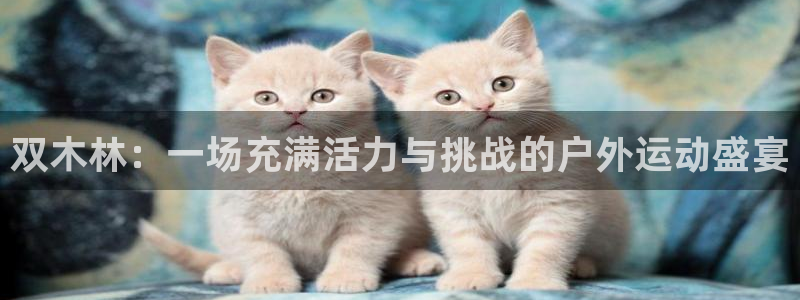 熊猫体育网址