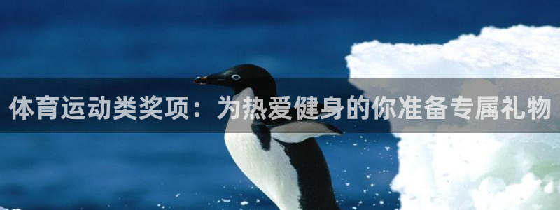 动感熊猫体育公园