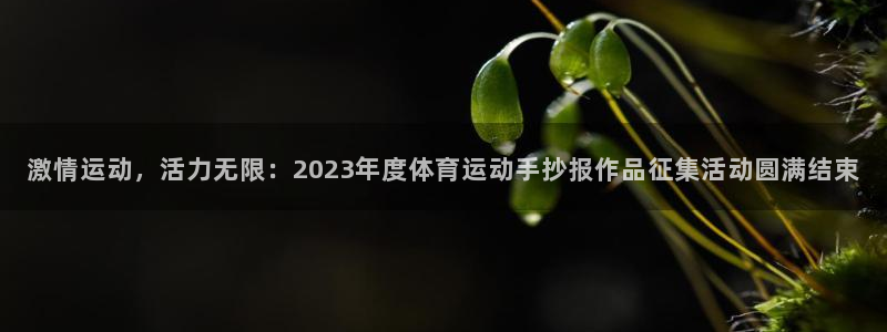 熊猫体育