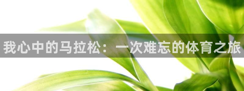 熊猫体育v3.新网页.org