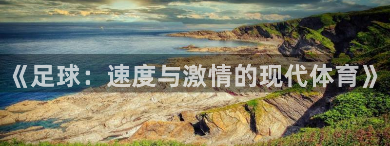 熊猫体育平台