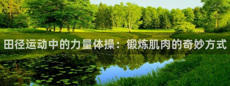 熊猫体育app下载安装