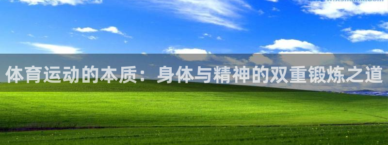 熊猫体育