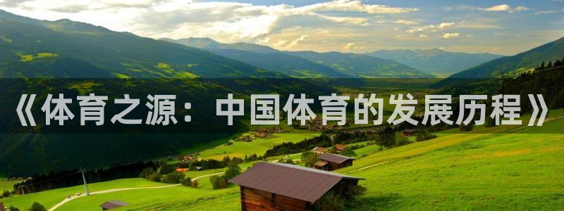 熊猫体育在线