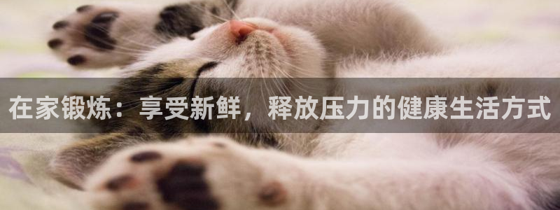 熊猫体育sports