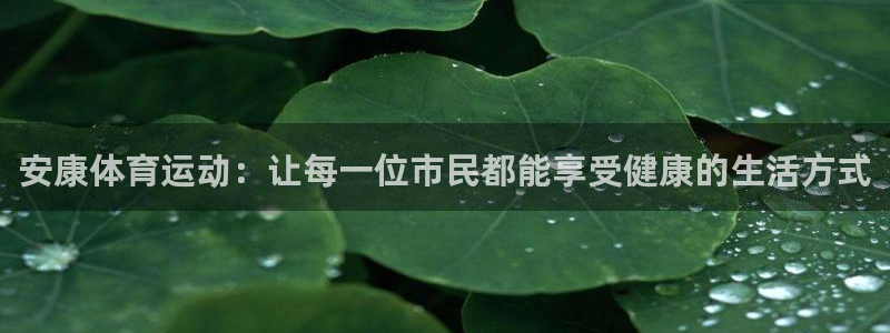 熊猫体育app官网入口