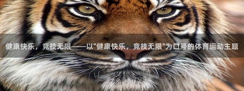 熊猫体育手机版下载