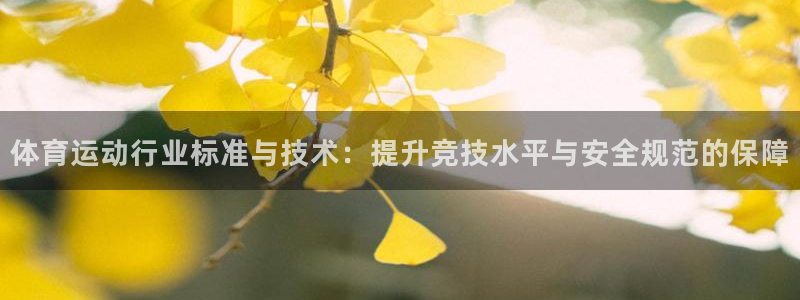 熊猫体育app官网入口