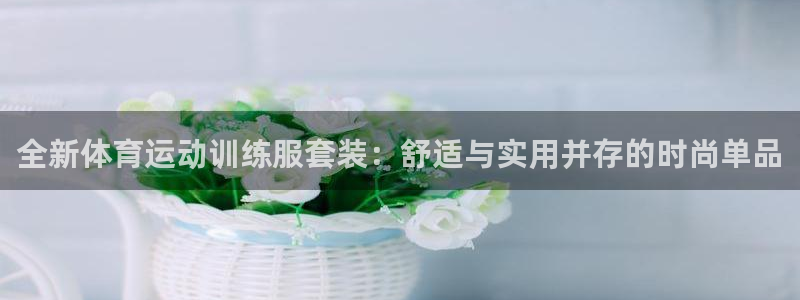 熊猫体育文化有限公司