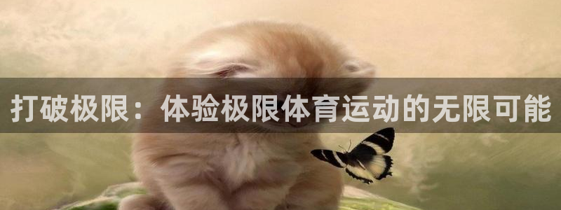 熊猫体育在线