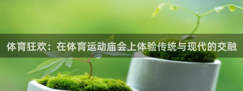 中山熊猫体育