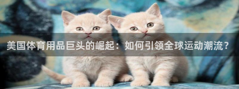 熊猫体育直播nba